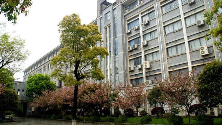 bevictor伟德官网