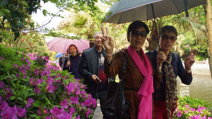 bevictor伟德官网