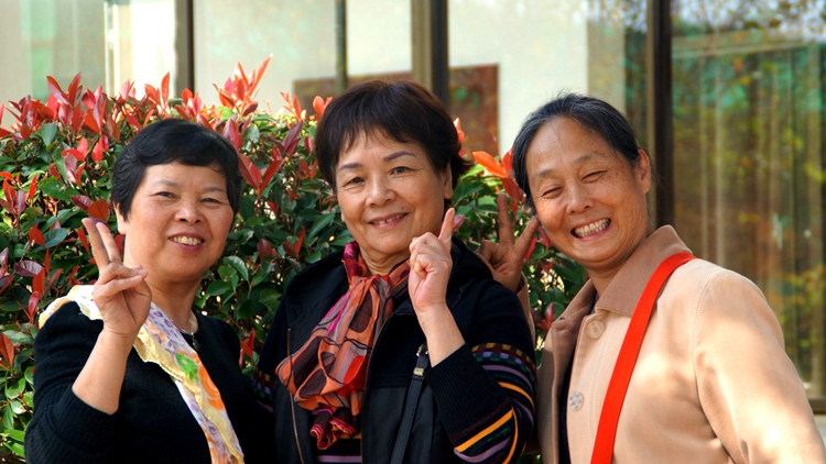 bevictor伟德官网