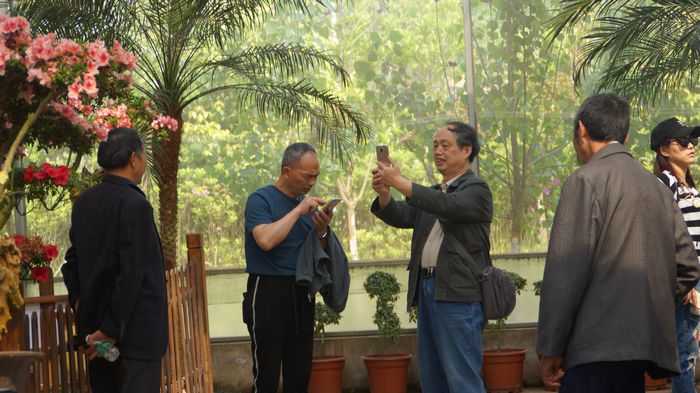 bevictor伟德官网