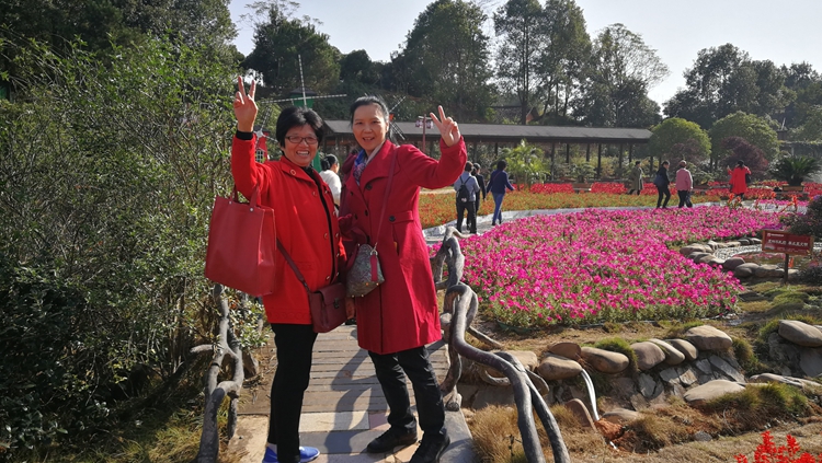 bevictor伟德官网