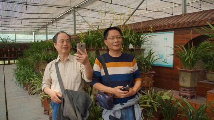 bevictor伟德官网