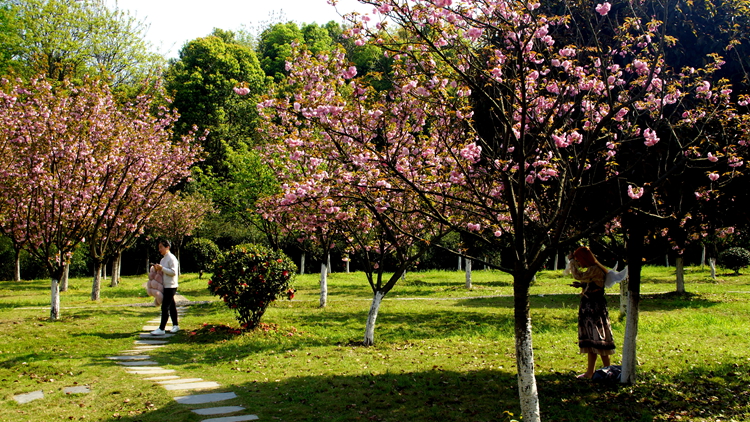 bevictor伟德官网