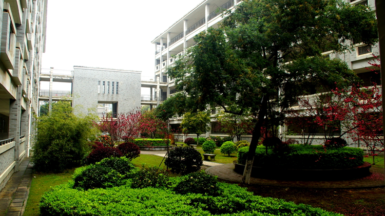 bevictor伟德官网