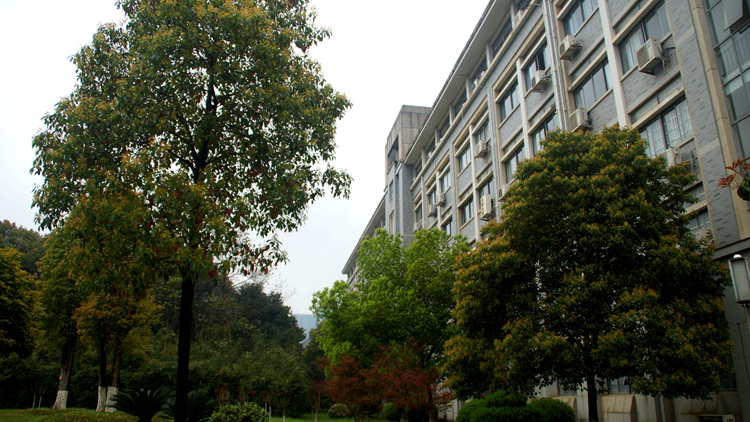 bevictor伟德官网