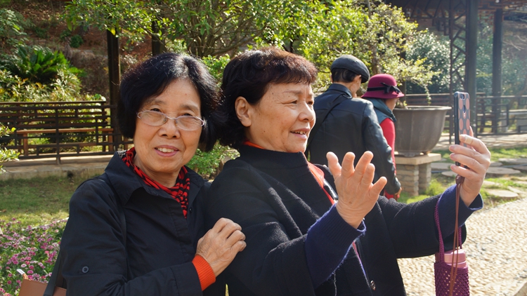 bevictor伟德官网