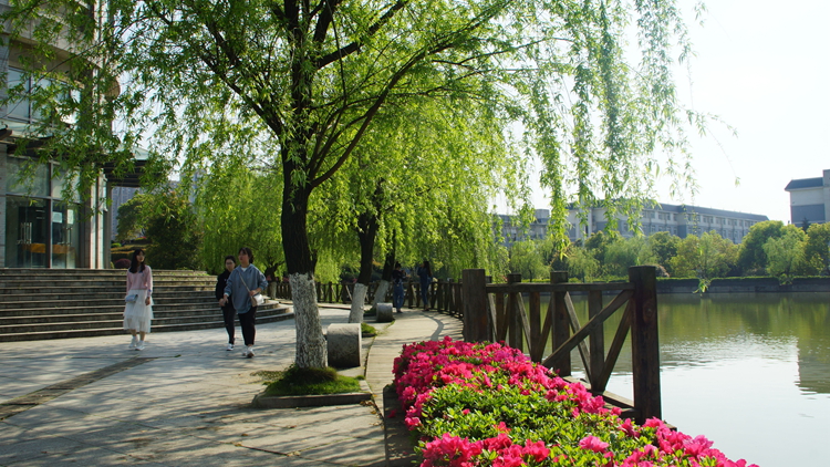 bevictor伟德官网