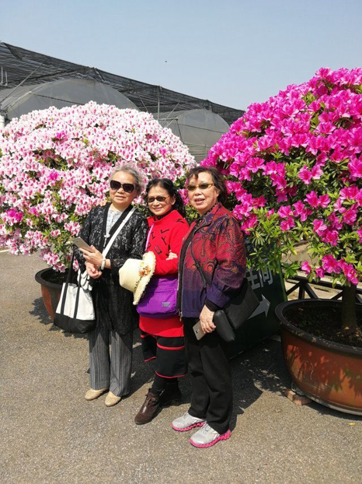 bevictor伟德官网