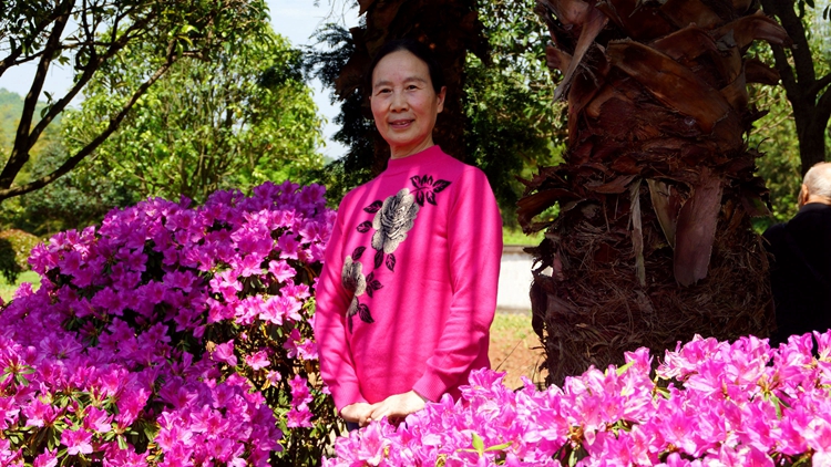 bevictor伟德官网