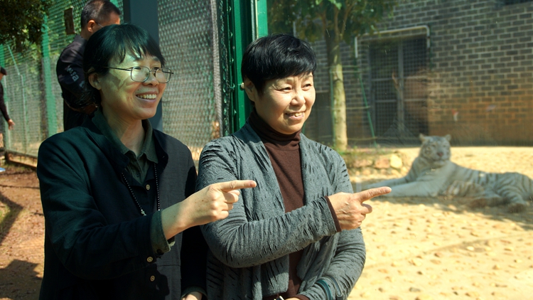 bevictor伟德官网