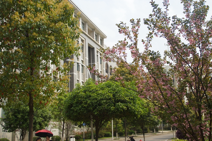 bevictor伟德官网