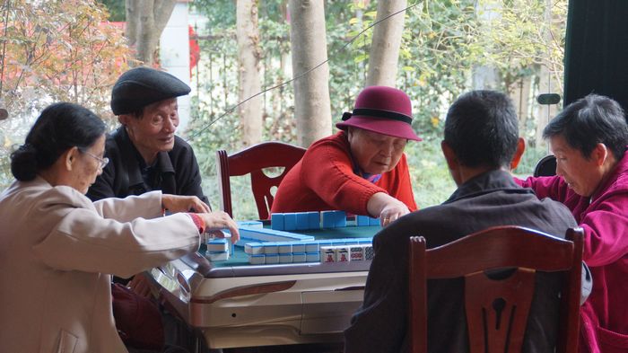 bevictor伟德官网