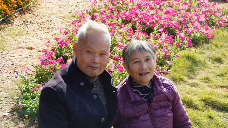 bevictor伟德官网