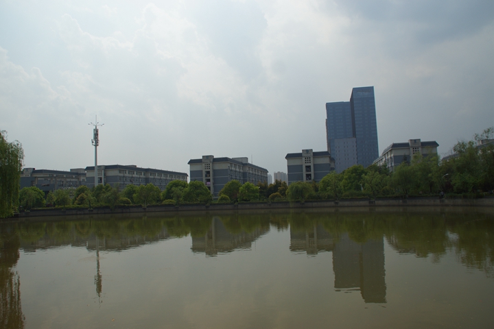 bevictor伟德官网