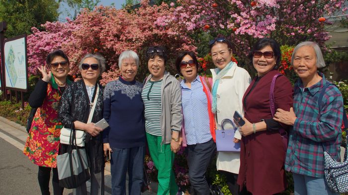 bevictor伟德官网