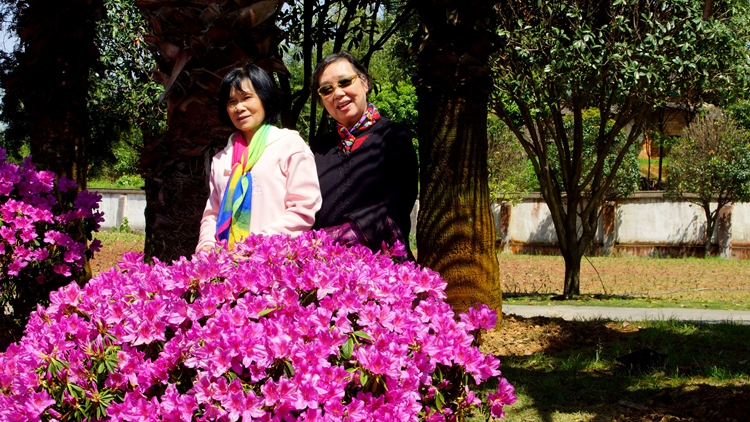 bevictor伟德官网