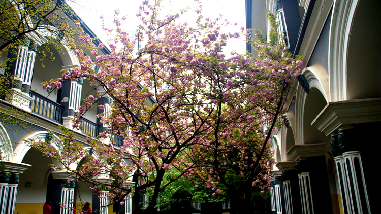 bevictor伟德官网