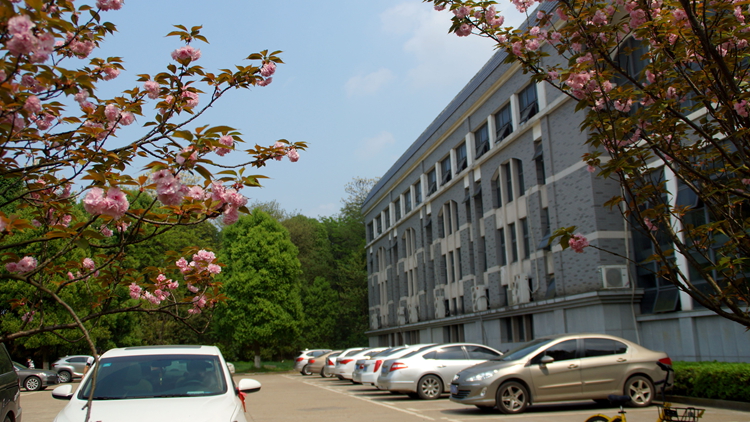 bevictor伟德官网