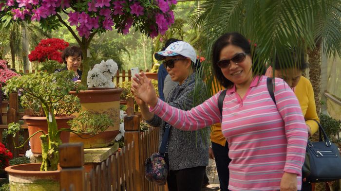 bevictor伟德官网