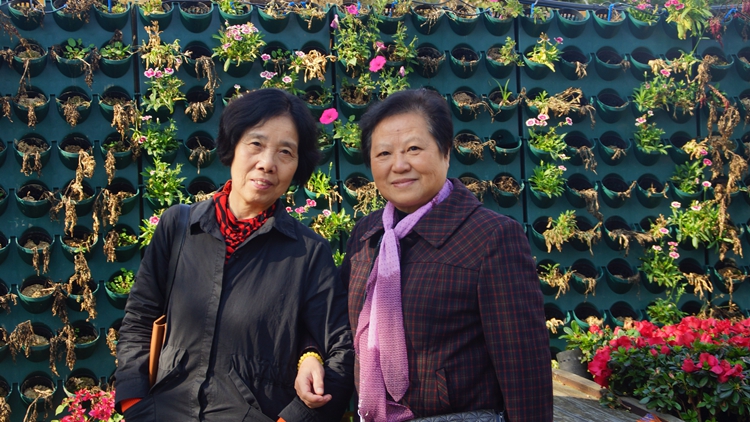 bevictor伟德官网