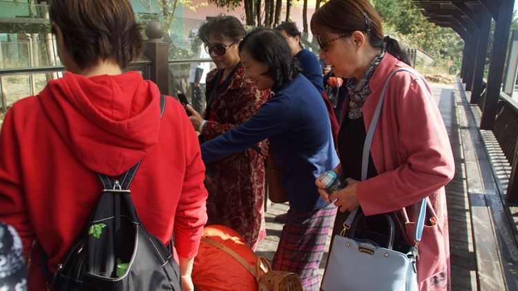 bevictor伟德官网