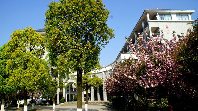 bevictor伟德官网