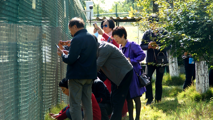 bevictor伟德官网