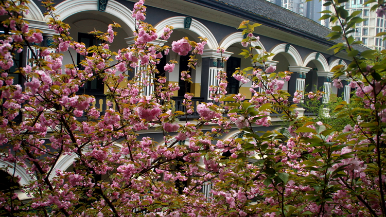 bevictor伟德官网