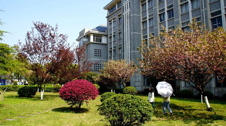 bevictor伟德官网