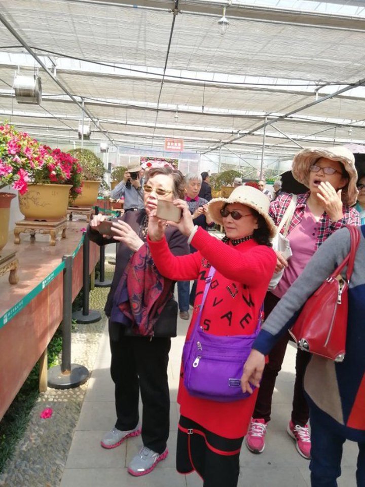 bevictor伟德官网