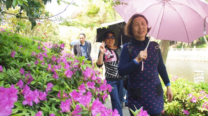 bevictor伟德官网