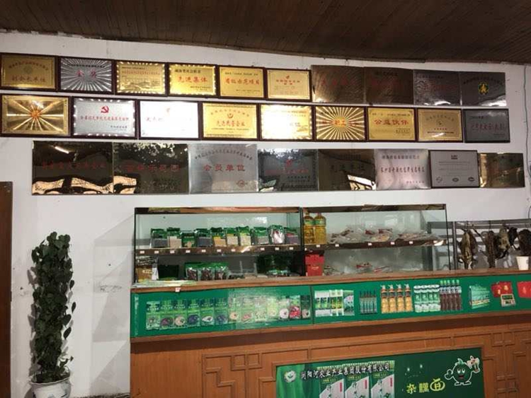 bevictor伟德官网