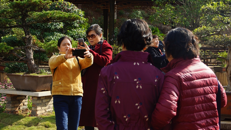 bevictor伟德官网