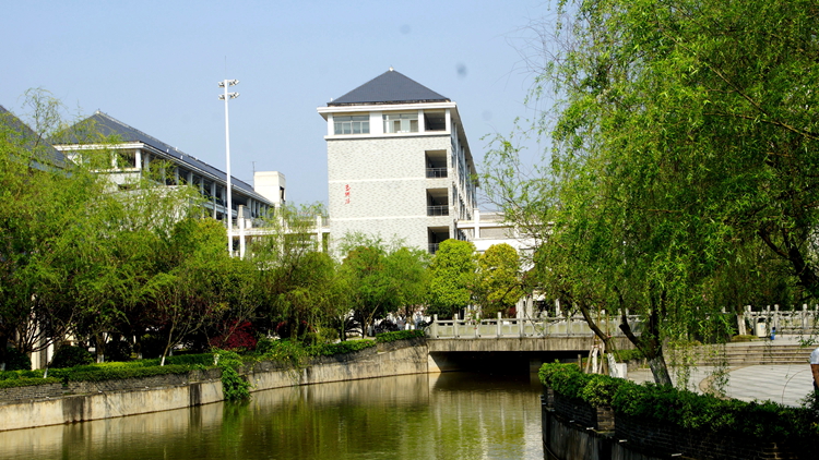 bevictor伟德官网