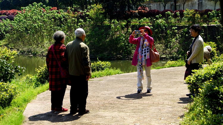 bevictor伟德官网