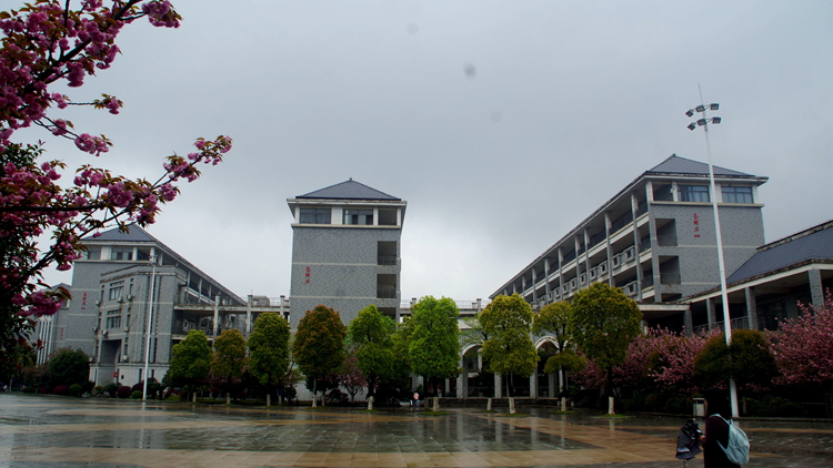 bevictor伟德官网