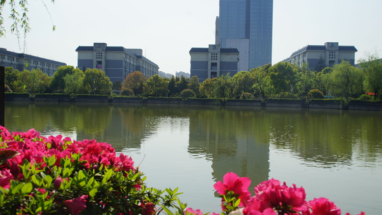 bevictor伟德官网