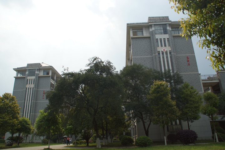 bevictor伟德官网