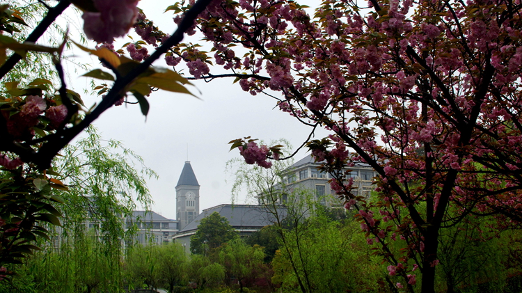 bevictor伟德官网