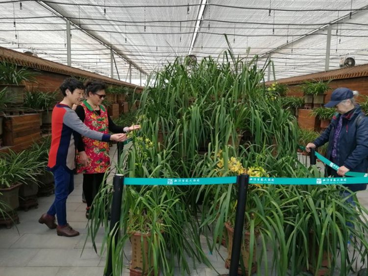 bevictor伟德官网