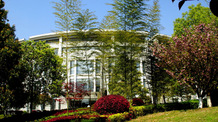 bevictor伟德官网