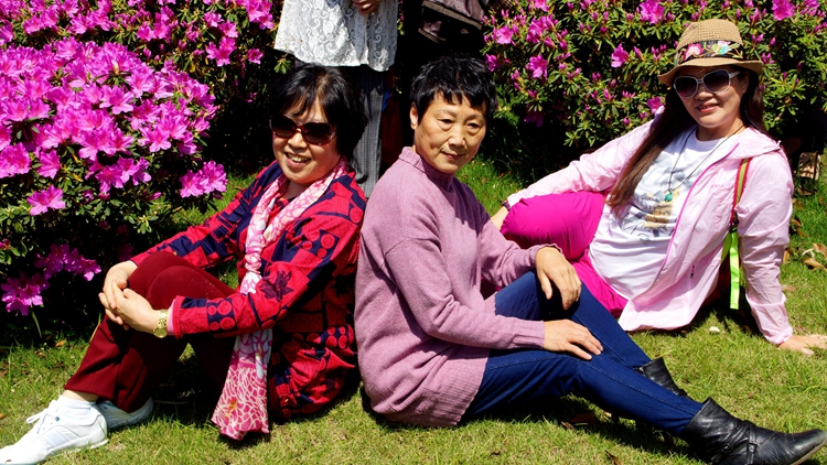 bevictor伟德官网