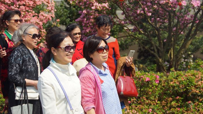 bevictor伟德官网