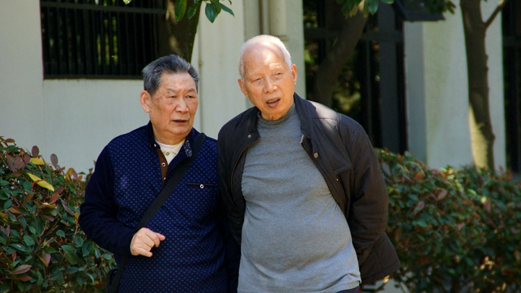 bevictor伟德官网