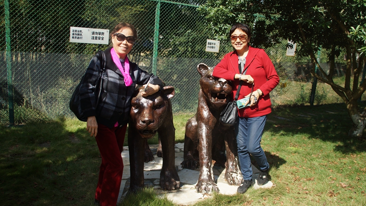 bevictor伟德官网