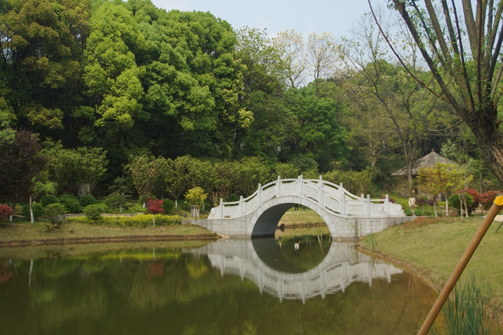 bevictor伟德官网