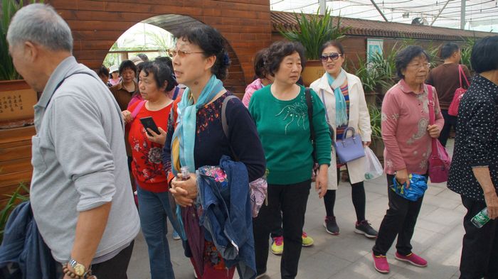 bevictor伟德官网