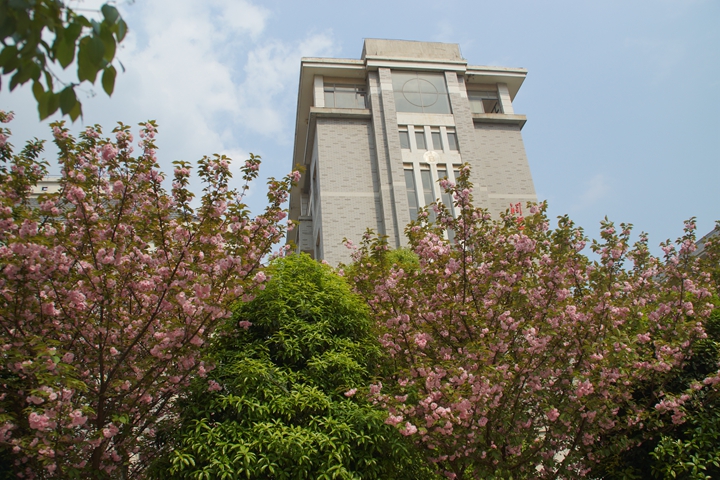 bevictor伟德官网