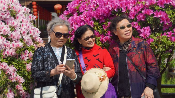 bevictor伟德官网