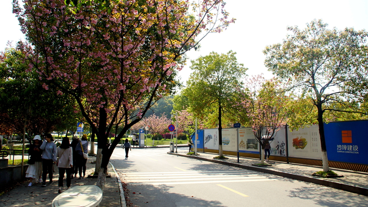 bevictor伟德官网